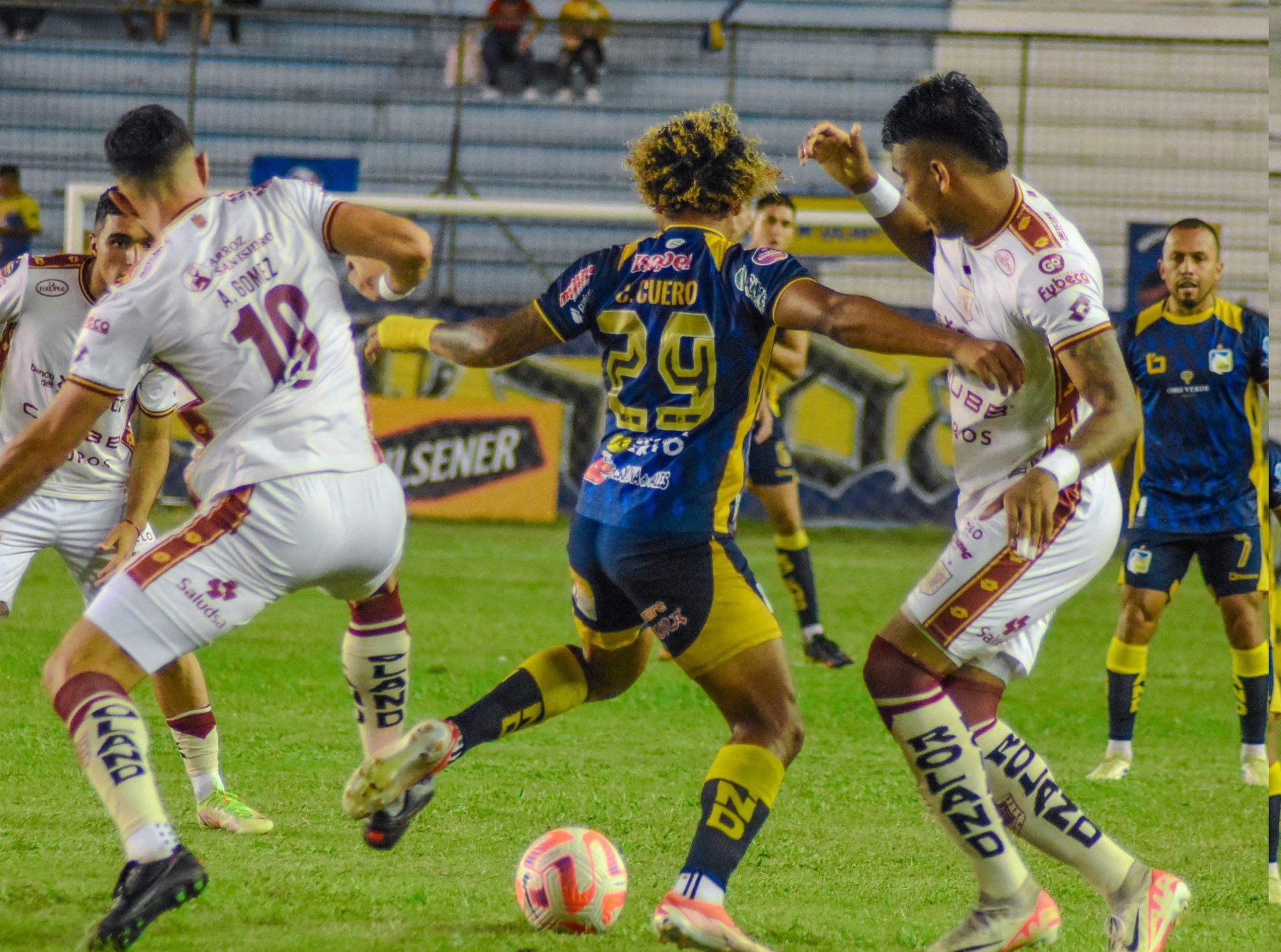 Delfin-D. Cuenca
