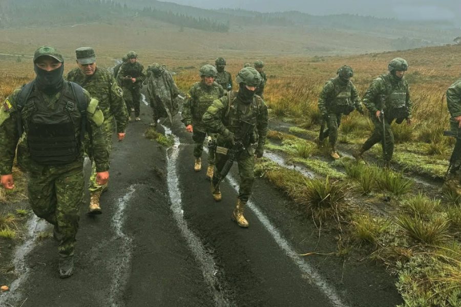 Militares